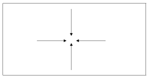 図8.3 第三相の形態力学